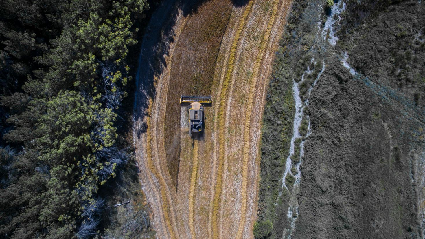 Drones et agriculture : une révolution dans l’agriculture moderne